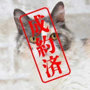 セルカークレックス 2025/2/22生まれ④