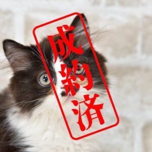 セルカークレックス 2025/4/24生まれ②